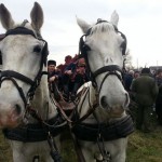 Pokladno jahanje u Oprisavcima okupilo više od 60 konjanika