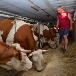 Brodsko posavska županija financijski će pomoći mljekarima