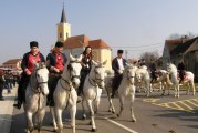 7. POKLADNO JAHANJE U OPRISAVCIMA Više od 60 konjanika na gizdavim lipicancima paradiralo oprisavačkim šorovima