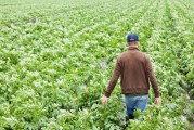 136 milijuna kuna za 366 projekata mladih poljoprivrednika