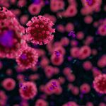 Izvanredni natječaj od 14 milijuna kuna za znanstvenike u borbi protiv koronavirusa