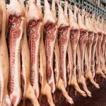 Korona kriza dodatno ugrožava proizvodnju mesa