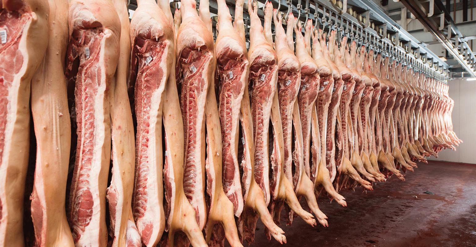 Korona bi mogla dokrajčiti već načetu mesnu industriju