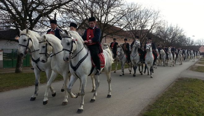 OČUVANJE TRADICIJE: Pokladno jahanje u Tomici okupilo 50 konjanika