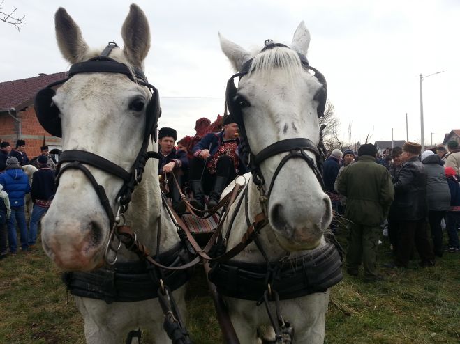 Pokladno jahanje u Oprisavcima okupilo više od 60 konjanika