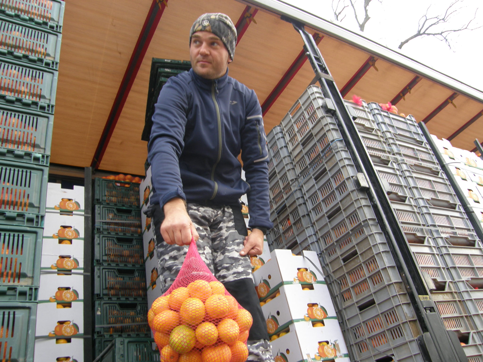 Petar Bjeliš, uzgajivač mandarina iz Opuzena: ovogodišnji  urod jako velik, mandarine  vrhunske kvalitete, ali nema dovoljno berača…
