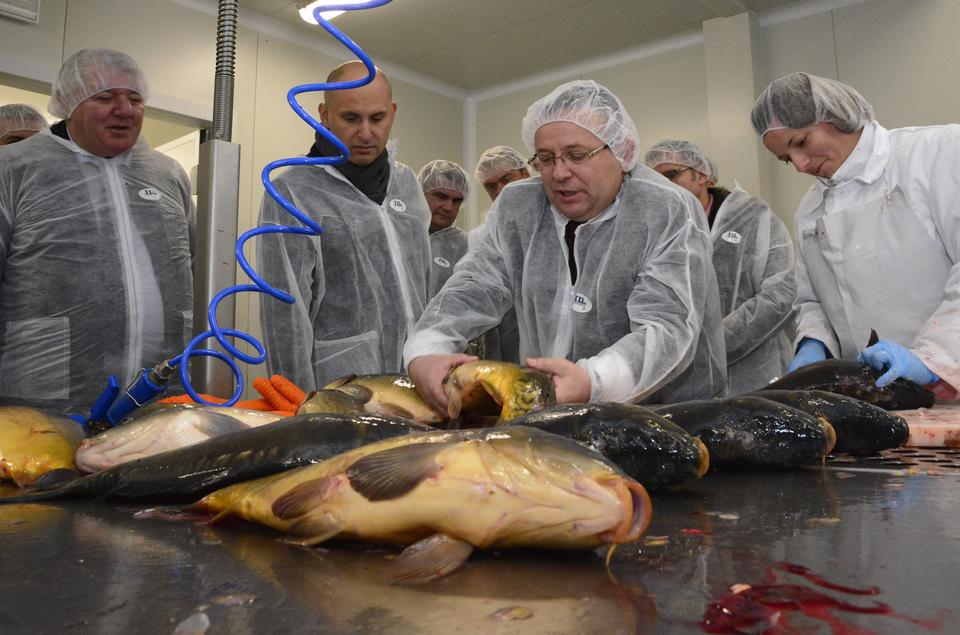 U Čačincima otvorena prva tvornica za preradu slatkovodne ribe u Hrvatskoj