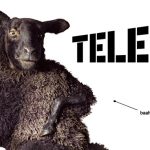 Tele2 Hrvatska za 220 milijuna eura prodan United Groupu, vlasniku N1 i Nove TV